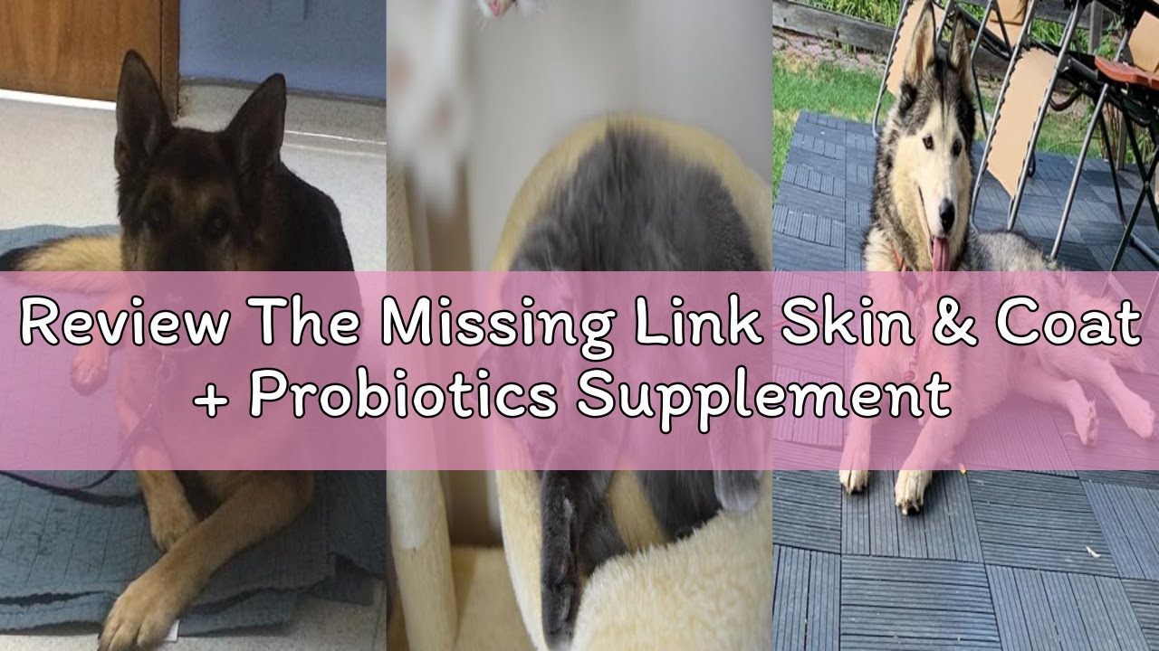 Review The Missing Link Skin & Coat + Probiotics Supplement 1lb Bag - Powerful Superfood Powder for