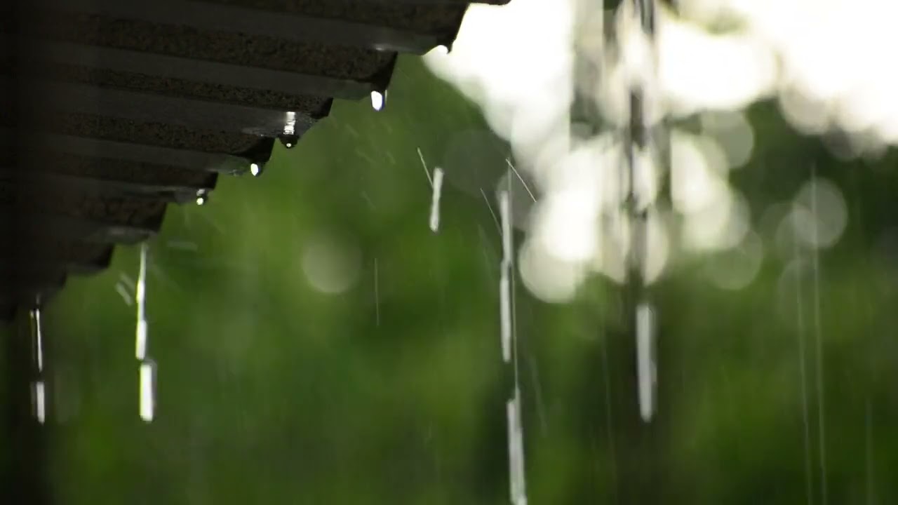 Heavy Rain #shorts #viralshorts