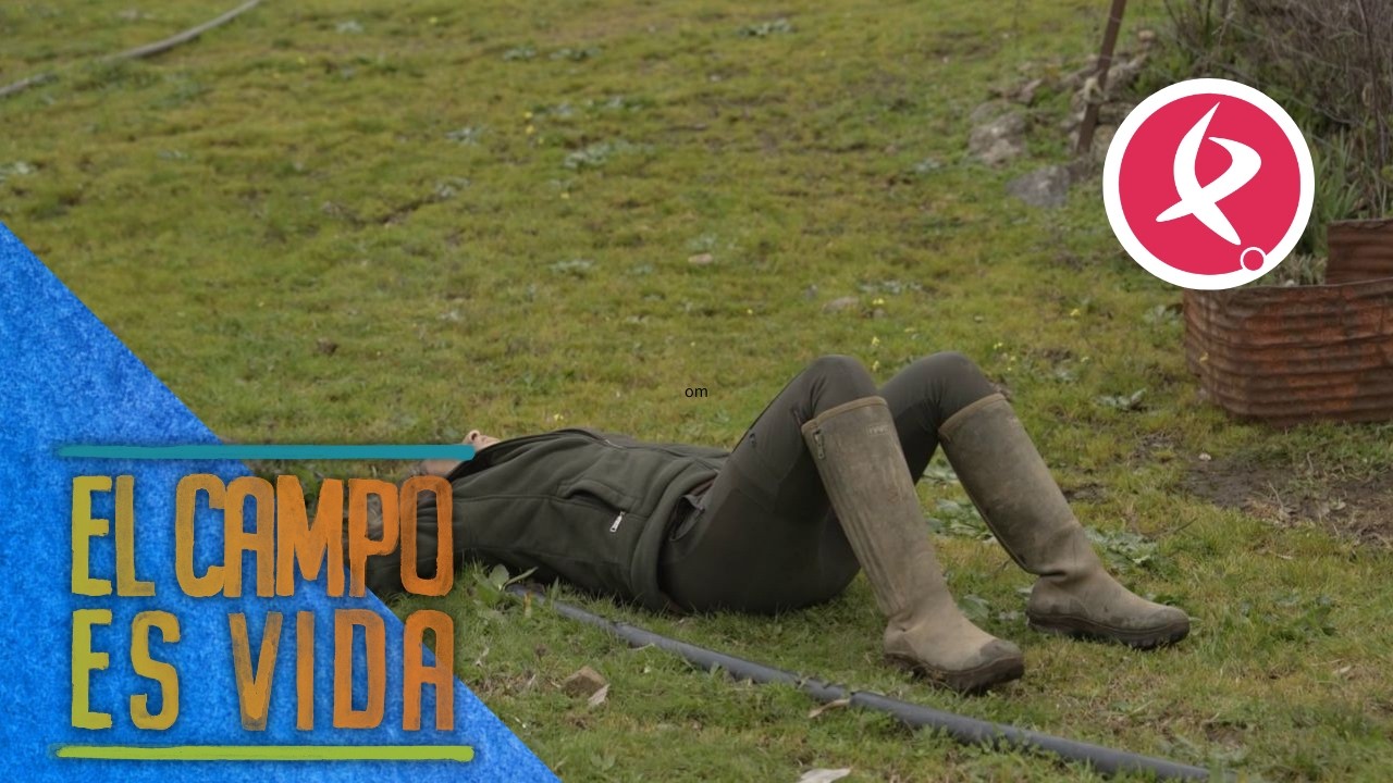 ¿Conseguirá Marifé poner el motor en marcha? | El campo es vida