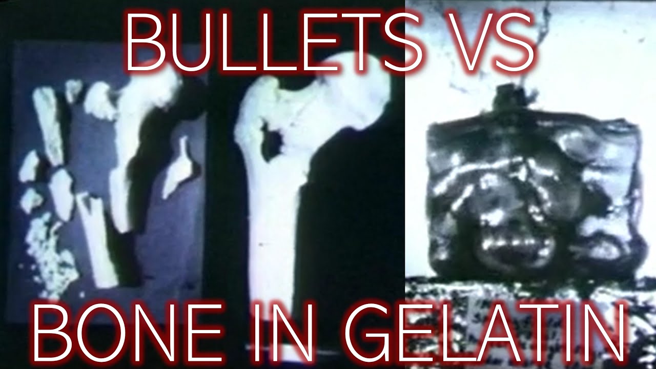 Terminal Projectile Effects: Antique vs. Modern Firearms on Bone in Gelatin