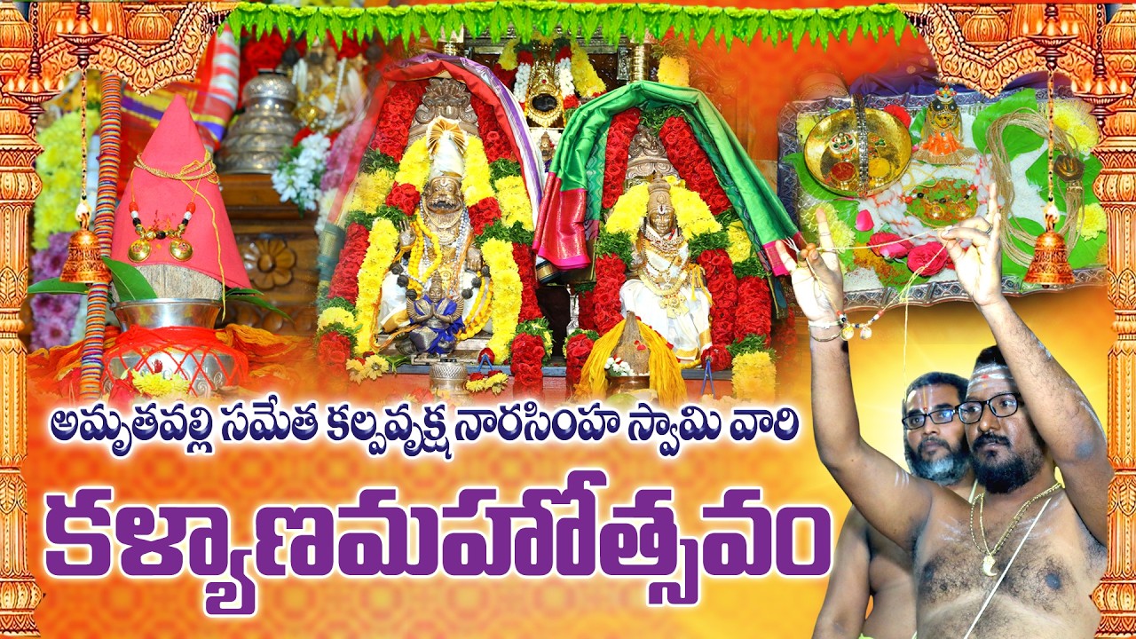 🔴LIVE 18-02-2026 శ్రీ అమృతవల్లి సామెత కల్పవృక్ష నారసింహ స్వామి వారి కళ్యాణమహోత్సవం Kalyanamahotsavam