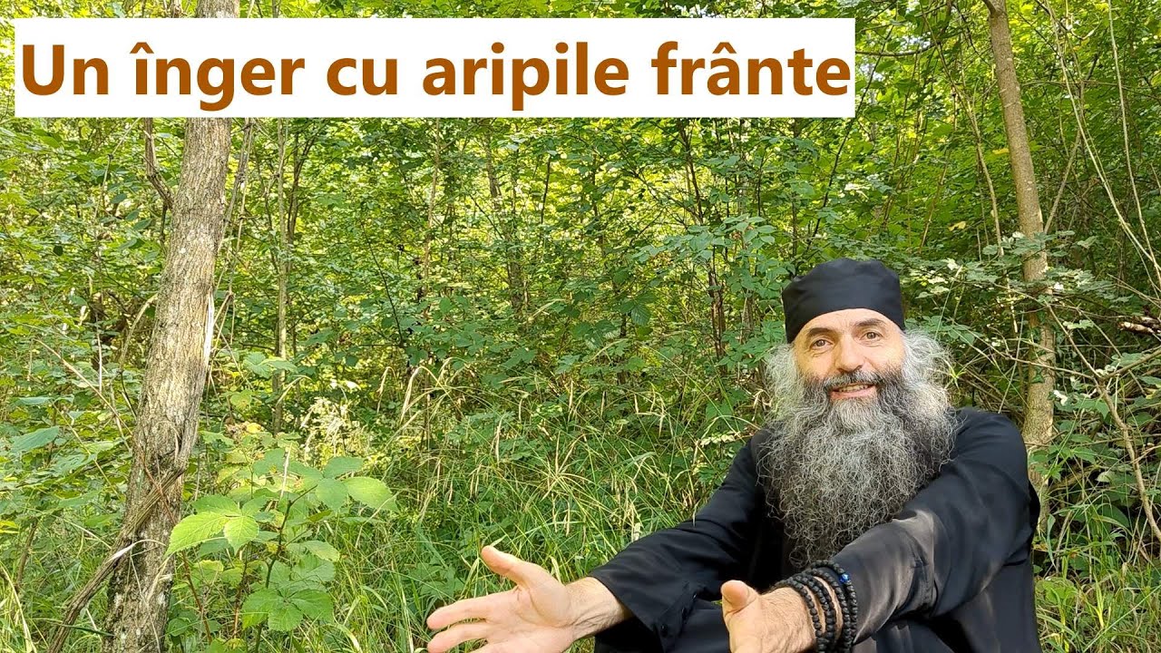 Un înger cu aripile frânte - p. Pimen Vlad