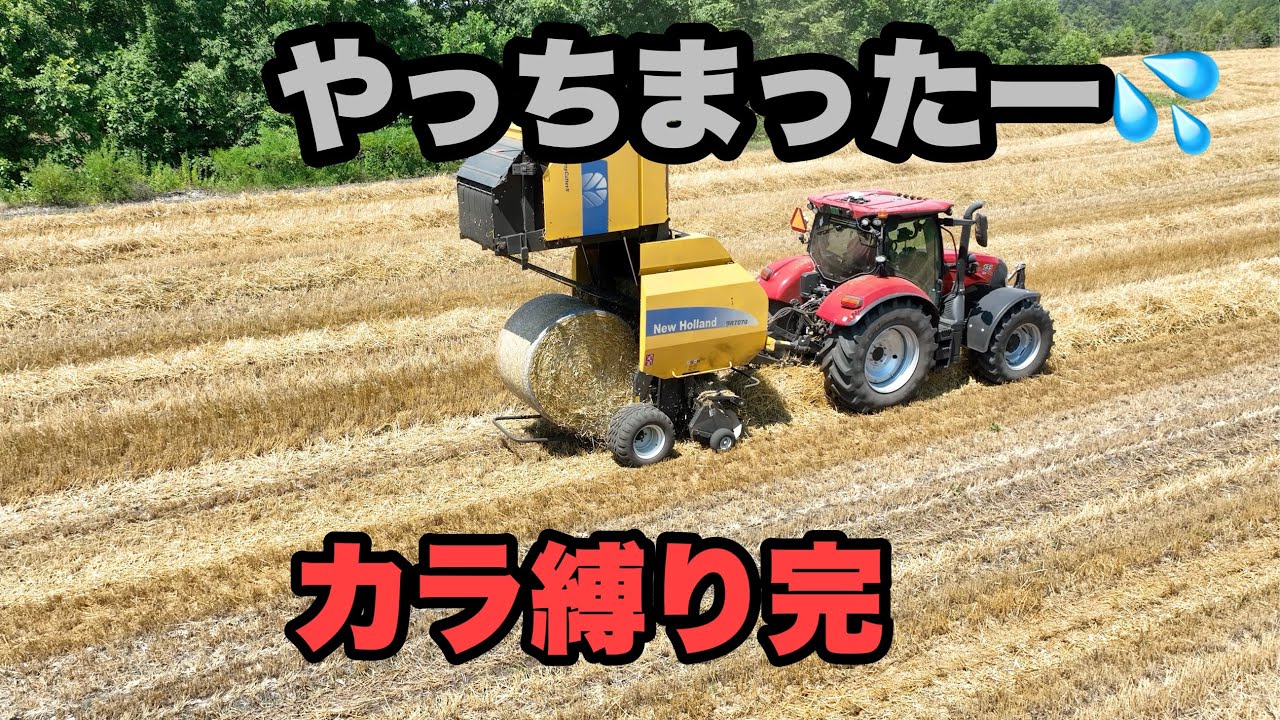 2025年7月25日　やっちまったー　カラ縛り完了