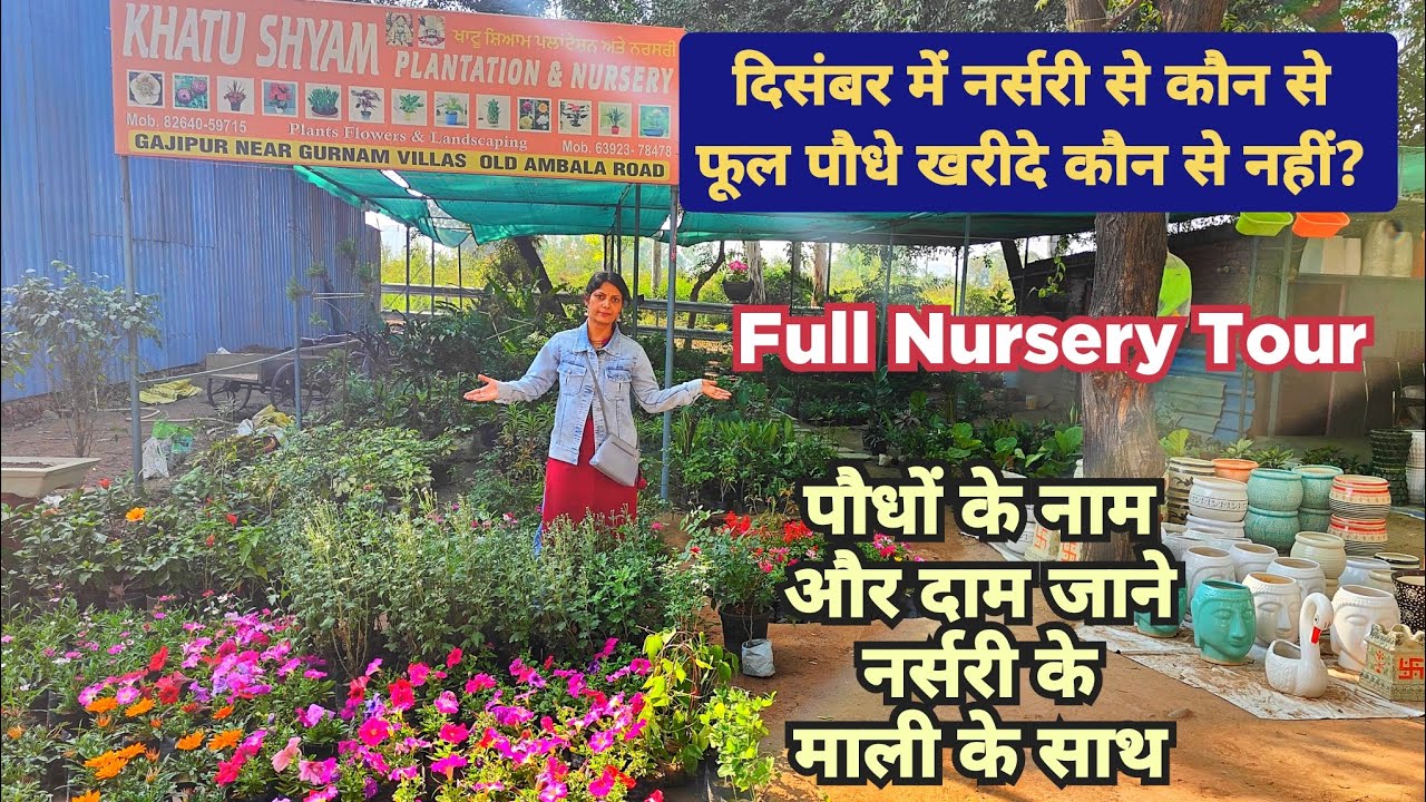 Roadside Plant Nursery Visit December /December Plant Nursery Visit / Roadside Plant Nursery Visit 