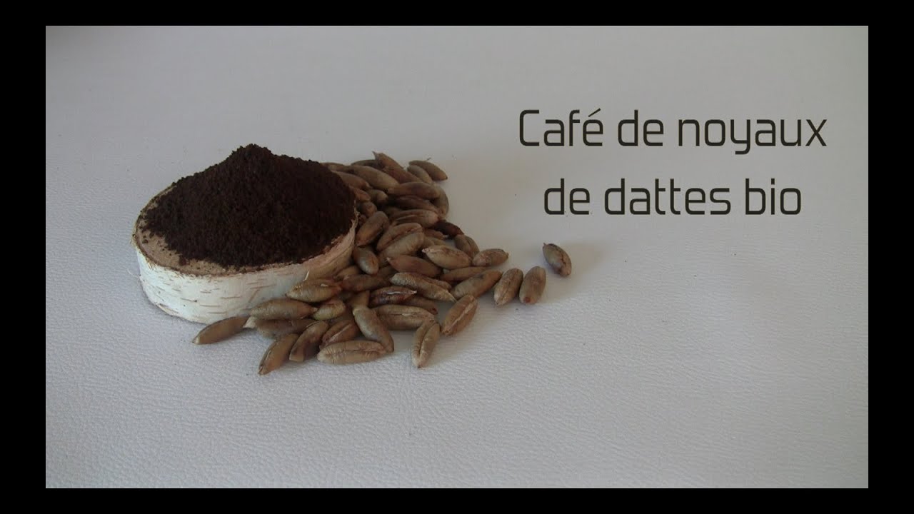 Oum Naturel - Café de noyaux de dattes bio