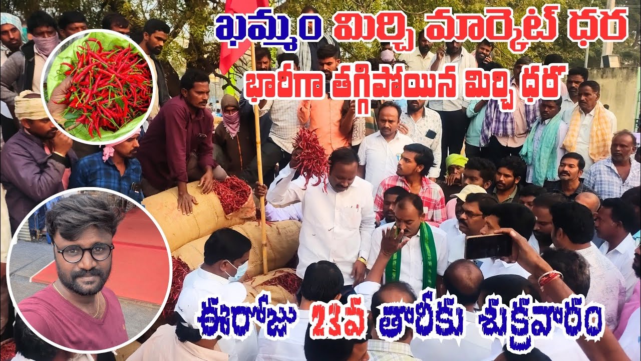 23/01/2026  khammam mirchi market price khammam mirchi market today #dharalu#mirchi#mirchiratetoday