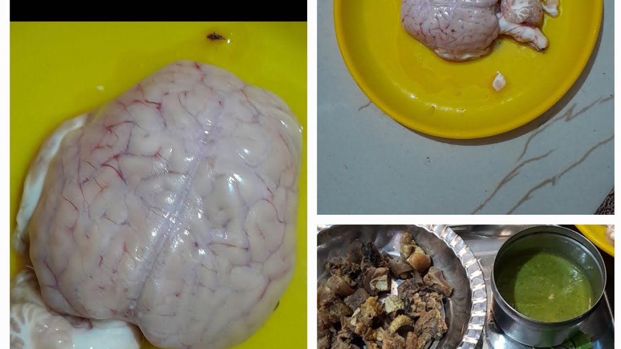 #ಮೇಕೆ ಬ್ರೈನ್ ಫ್ರೈ ಮಾಡುವ ವಿಧಾನ.. 👌