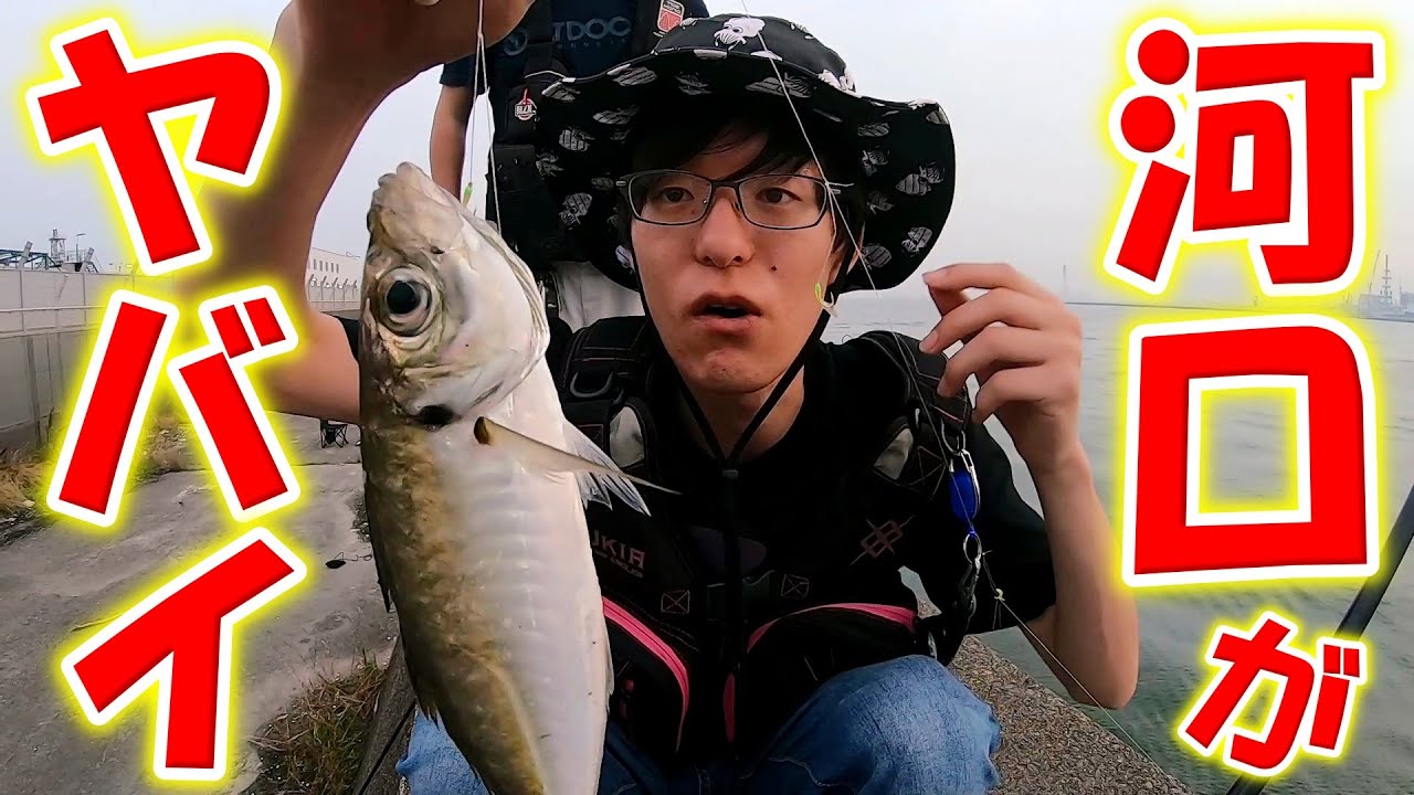 ガラガラの河口で魚が釣れすぎてヤバイ【茨城県久慈川河口】