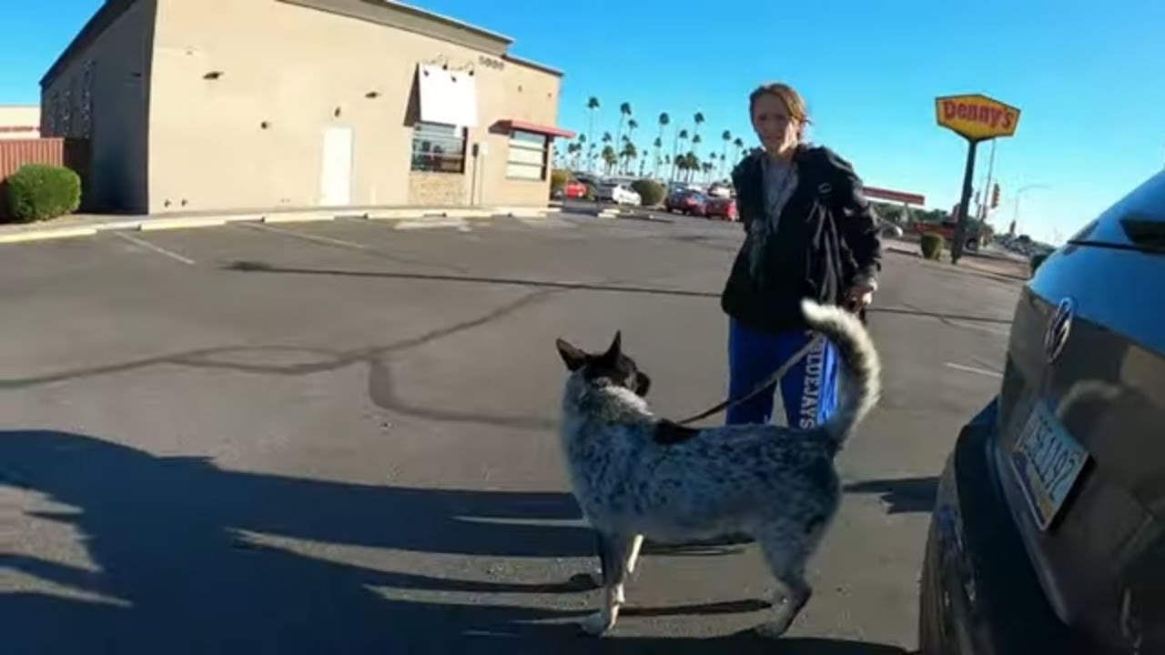 Another Day Helping Homeless Neighbors | Kindness