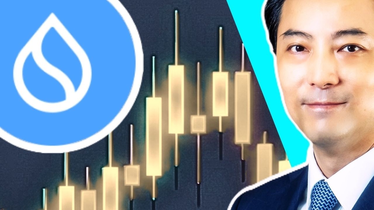 SUI (SUI) Price Wyckoff Analysis : Whales Control Your Win Or Lose!