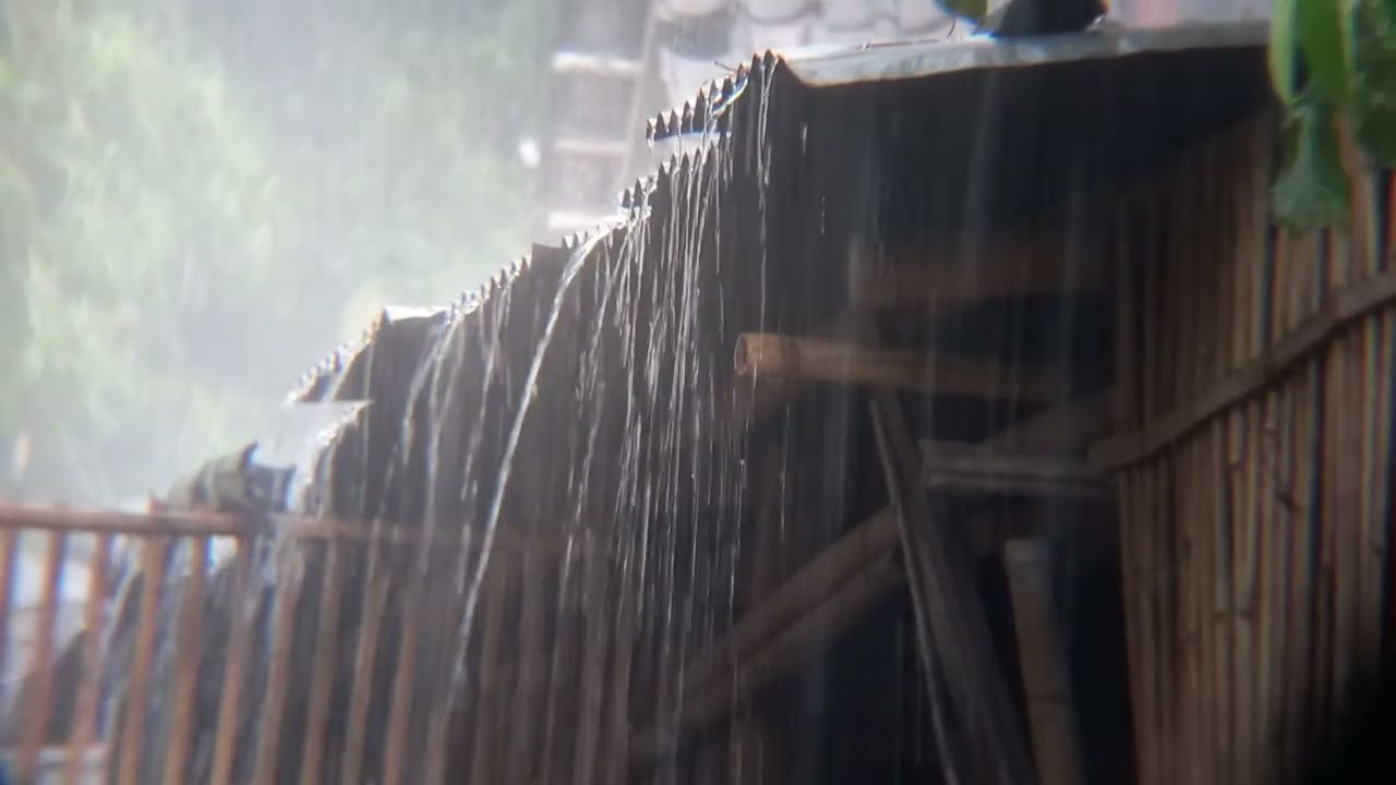 Relaxing Rain Sounds for Deep Sleep 🌧️ ASMR Night Rain Ambience
