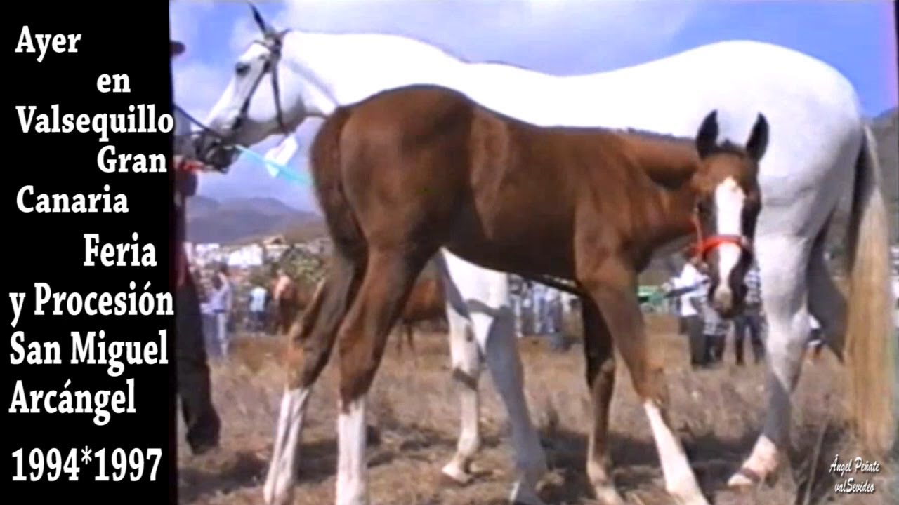 Feria y Procesión San Miguel Arcángel 1994*1997.