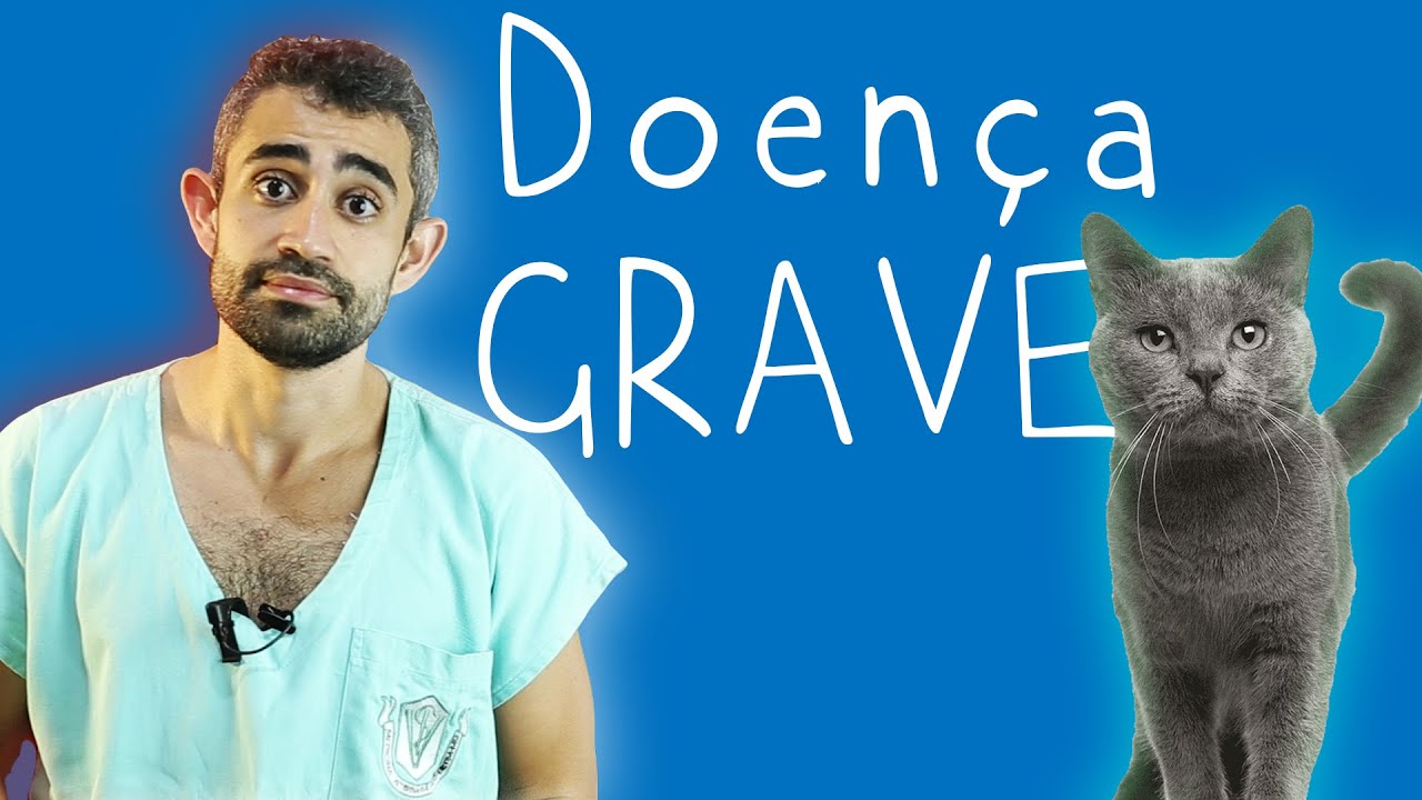 PANLEUCOPENIA FELINA | Dica Veterinária #37