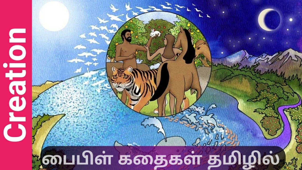 தேவனுடைய படைப்பு : Story of Creation according to Bible: Animated Bible story in Tamil