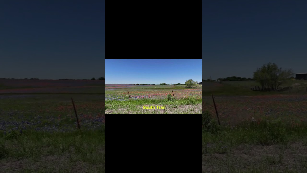 Ennis Bluebonnet Trails 2024 in 4K  