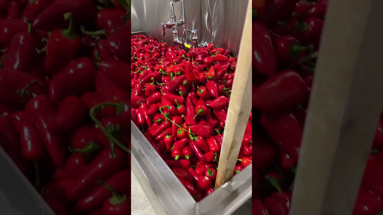 Rub dub dub, 5000 peppers in a tub!