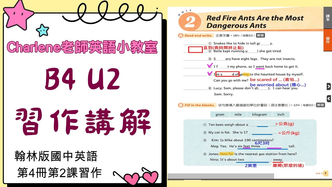 【Charlene老師英文小教室】翰林版國中英語第4冊第2課 Unit Two Red fire ants are the most dangerous ants. 習作詳細講解