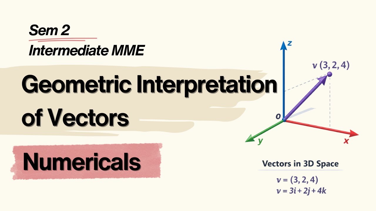 Geometric Interpretation of Vectors | Sem 2 | Intermediate MME | BA Hons Economics | Vectors | 3D