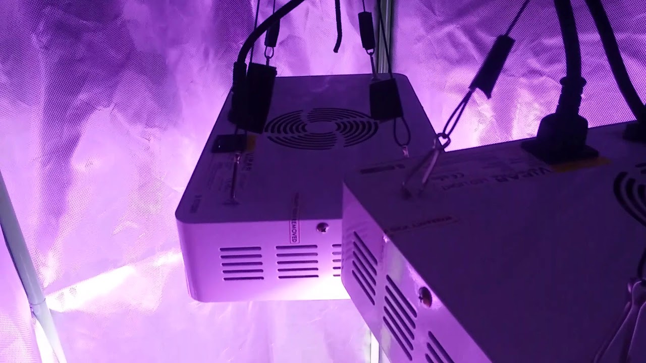 New 2x4x7 grow tent! Its full!! Check it out!