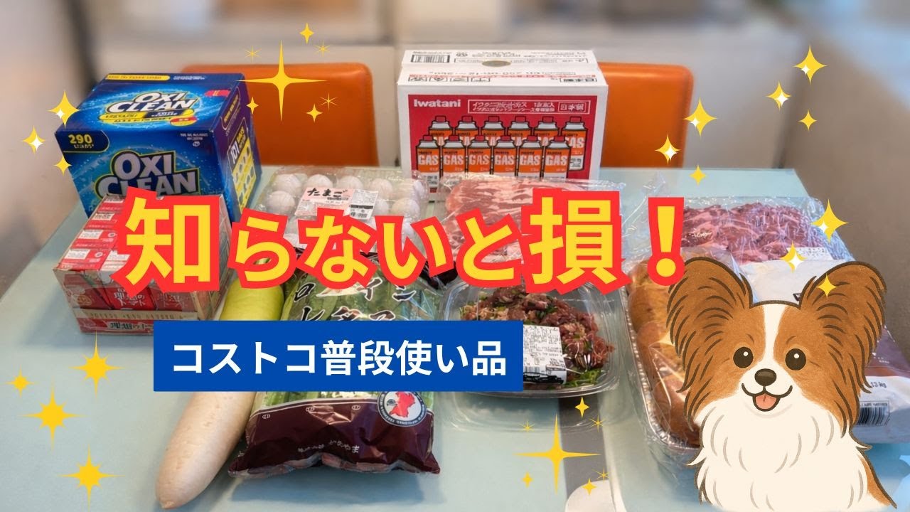【コストコ購入品】知らないと損！普段使いできるおすすめ商品