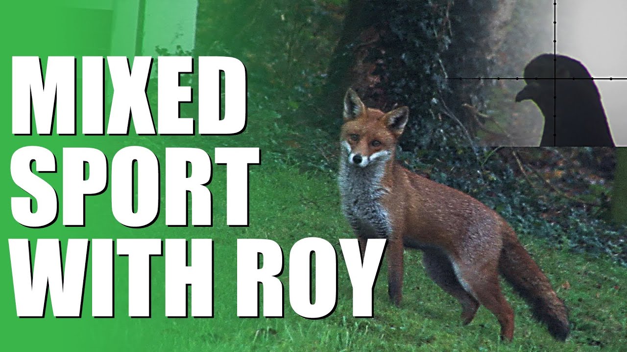 Fieldsports Britain - Mixed sport with Roy Lupton