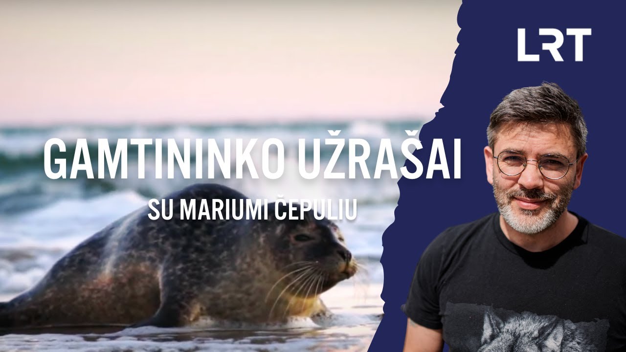Gamtininko užrašai. Ruonių išlydėjimo ceremoniją stebėjęs Čepulis: nebus iš manęs ruonis