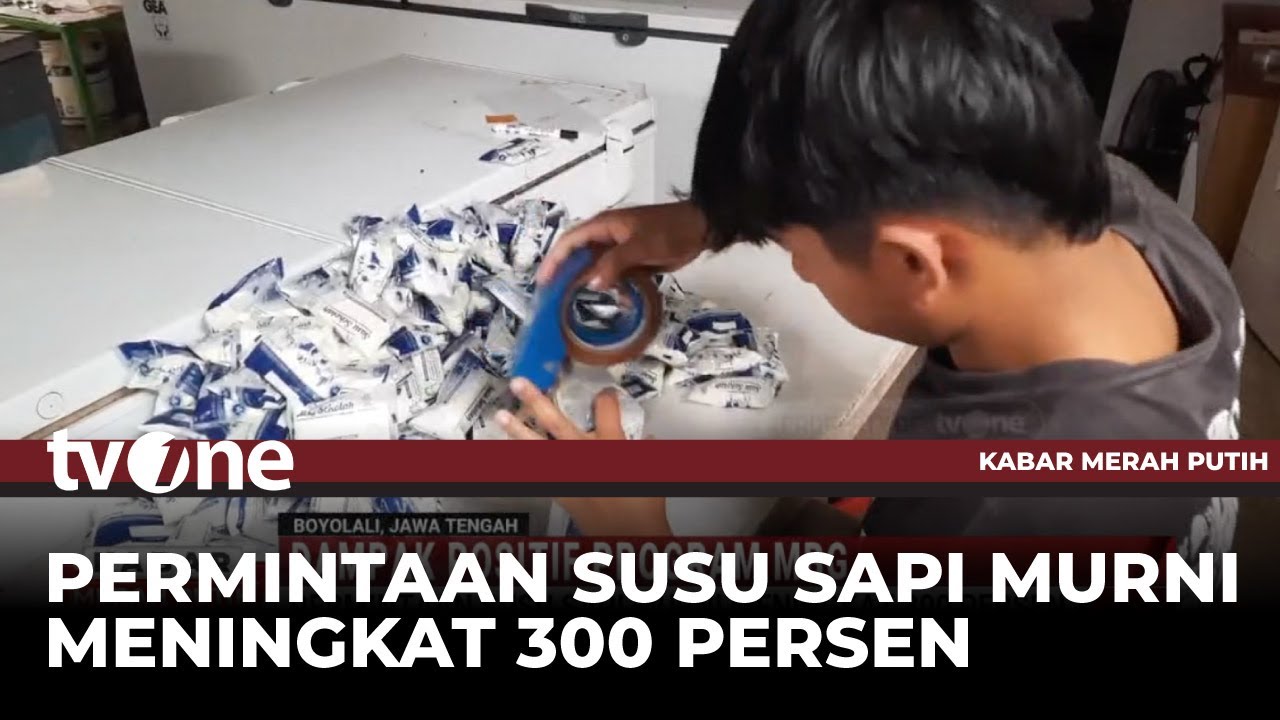Program MBG Berdampak Positif Bagi Pengusaha Susu di Boyolali | Kabar Merah Putih
