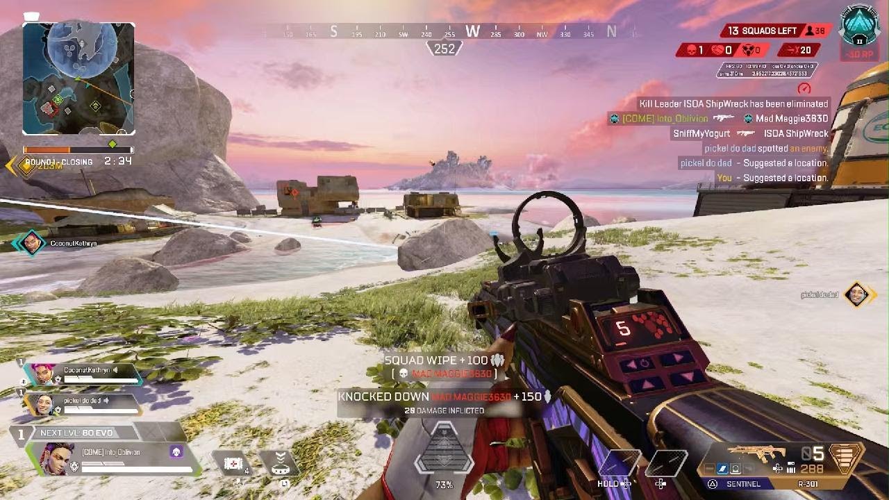 Snipey snipe