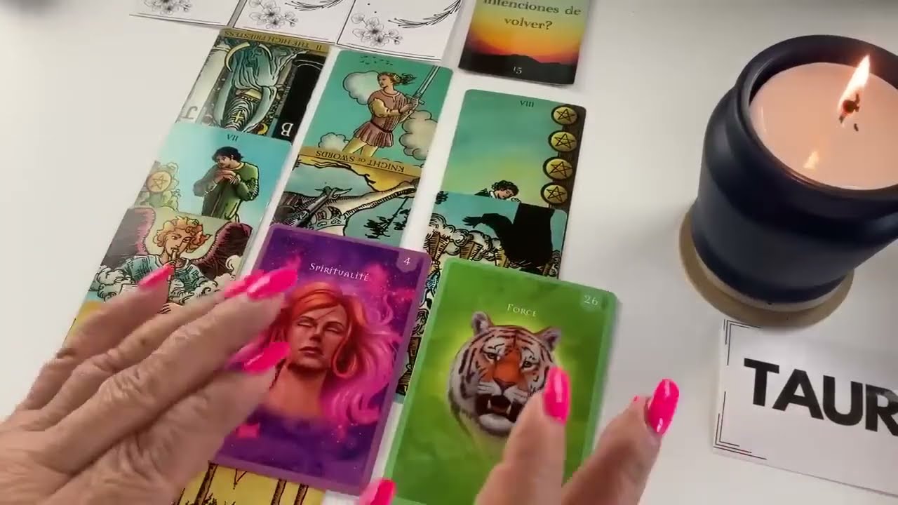 TAURO! 