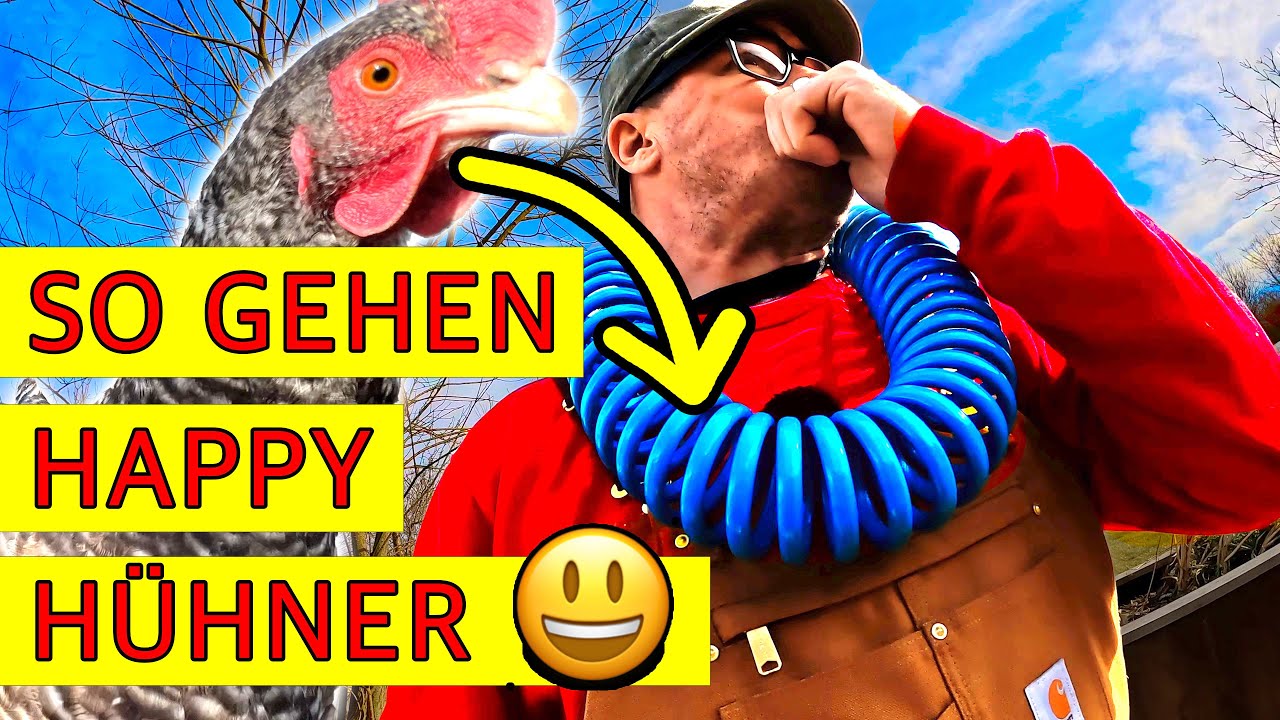 Bestes Hühnerfutter!