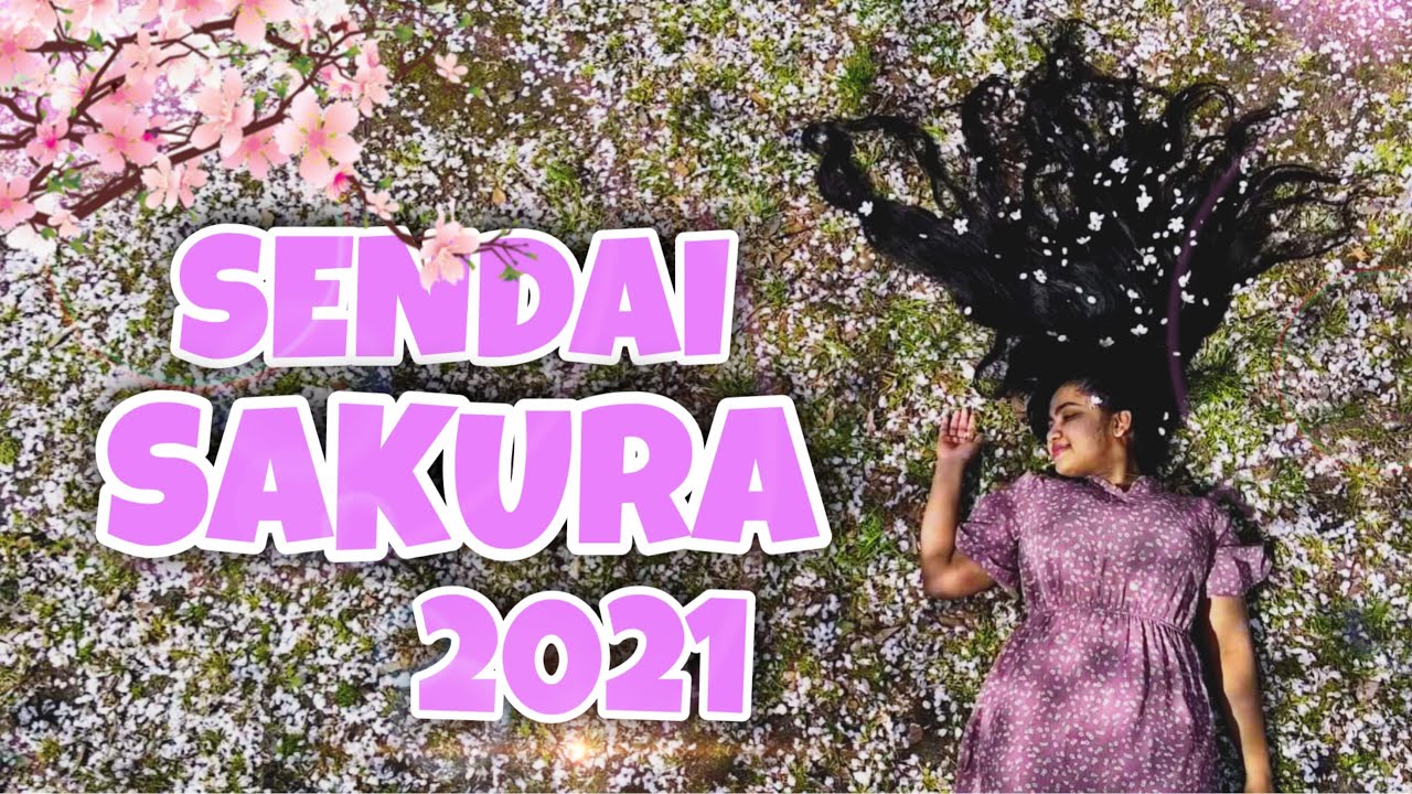 Sendai Sakura 2021 (Cherry Blossoms)