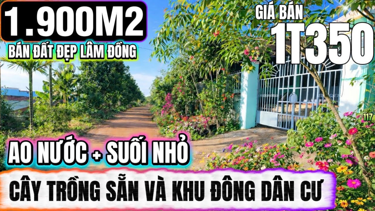 🔴Bán đất đẹp lâm đồng 1900m2 khu dân cư đông đúc gần trung tâm cây trồng sẵn Lh 0379 590 939