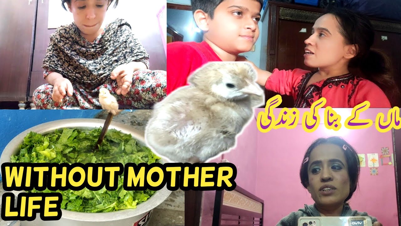 A life Without Mother😢