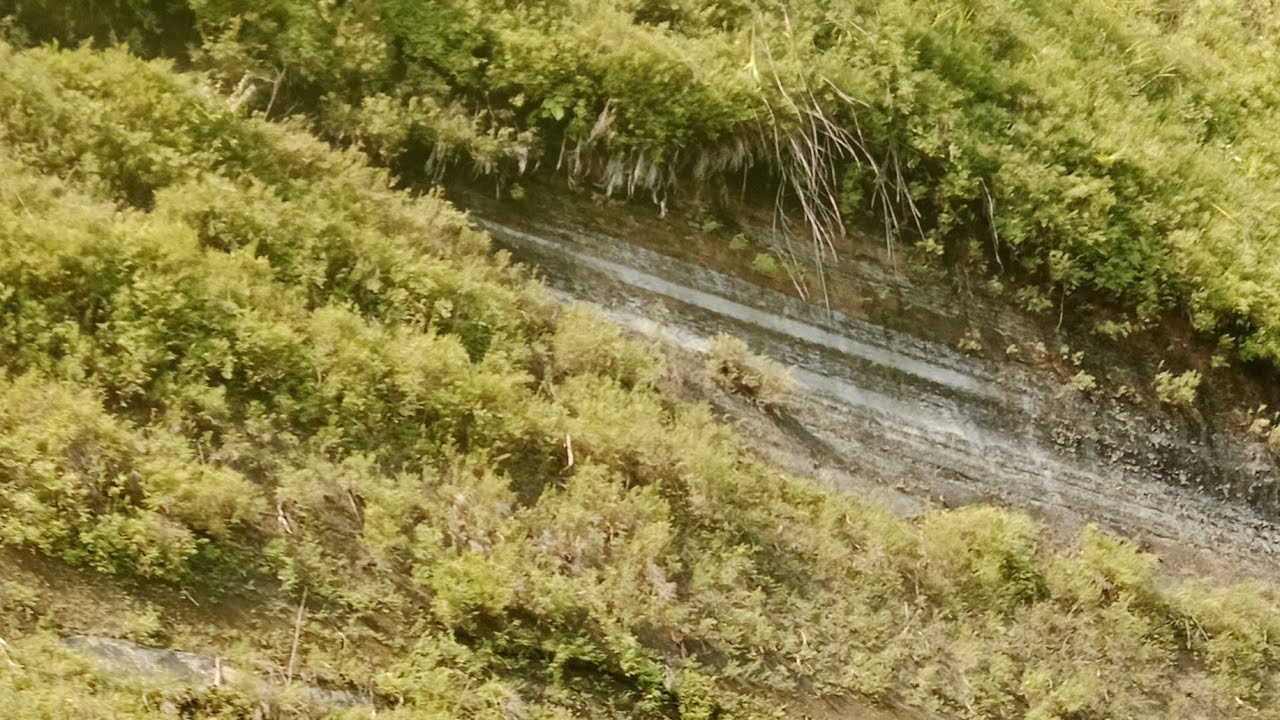 আসসালামু আলাইকুম। স্বাগতম আমার লাইভে