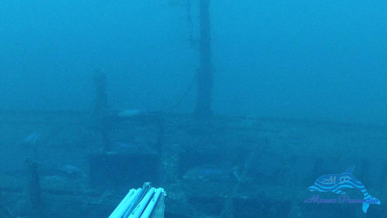 Spearfishing: dentici enormi nel relitto profondo