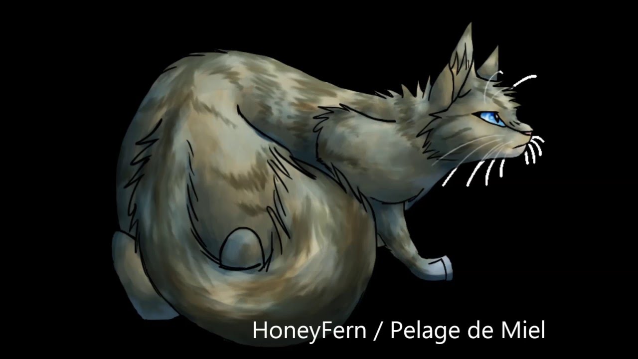 Partie 3   Les morts les plus tristes de La Guerre Des Clans