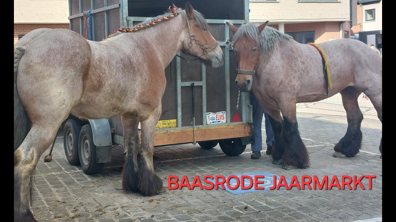 Baasrode I jaarmarkt 2024