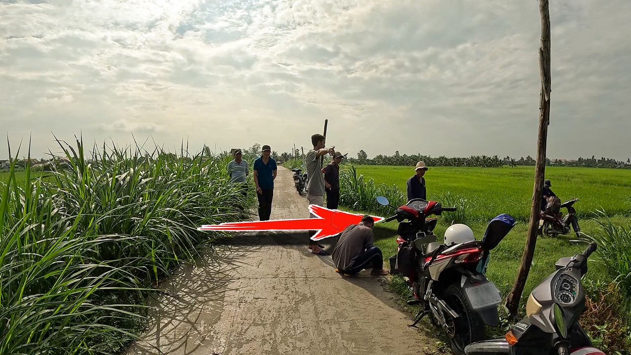 Suýt Phải Hối Hận Vì Chụp Đuôi Một Con Rắn Đang Qua Đường | TGSB #1164