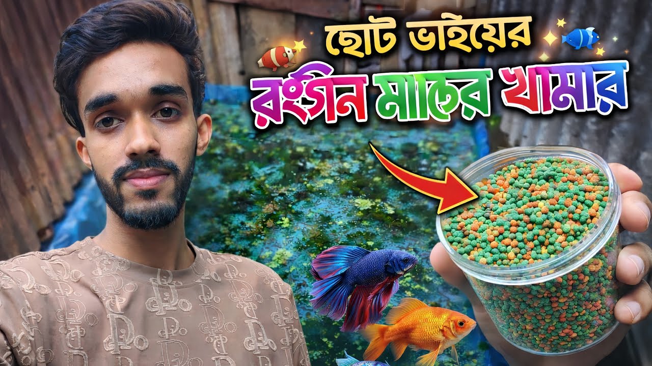 ছোট ভাইয়ের রঙিন মাছের খামার 🐠 | ঘরে তৈরি কালার ফিশ ফার্মিং | Ornamental Fish Farming Bangla