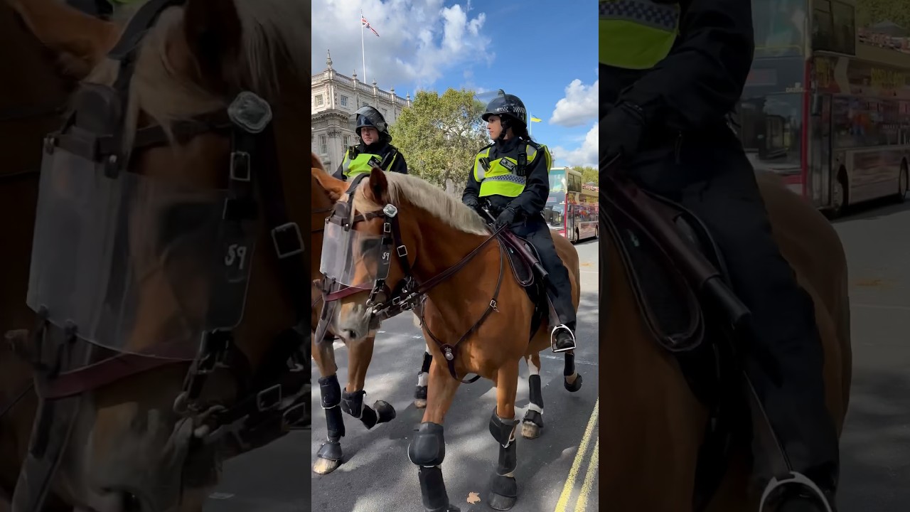 Riot Police horses in London