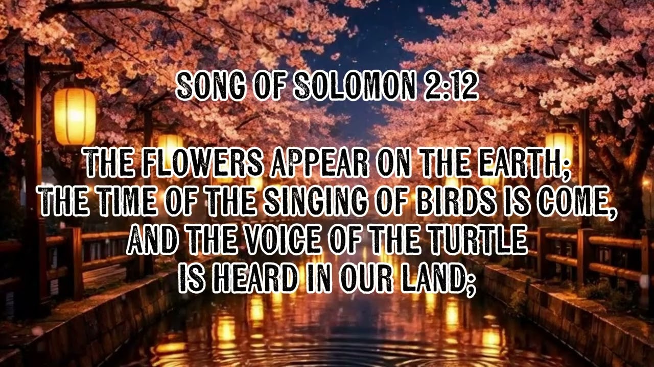 Hidden Manna | Song of Solomon 2:12 | When the Flowers Appear at Night | Worship Instrumental