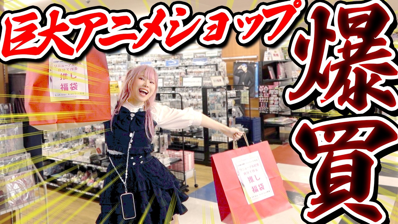 【店舗貸切】『安い・広い・多い』の3拍子揃った北陸最強のホビーショップで値段気にせず大爆買い！！！【プロセカ｜銀時｜推しの子｜ラブライブ！｜五等分の花嫁】
