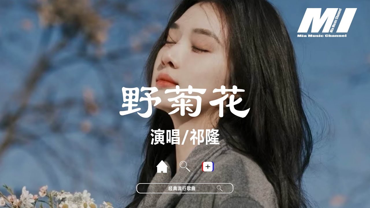 野菊花 - 祁隆 【ye ju hua  - qi long 】