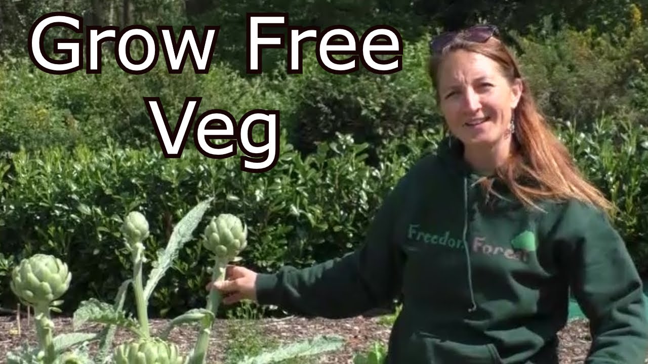 Perennial & Self Sown Vegetables - Late Spring At Freedom Forest (MAY) S1 E2