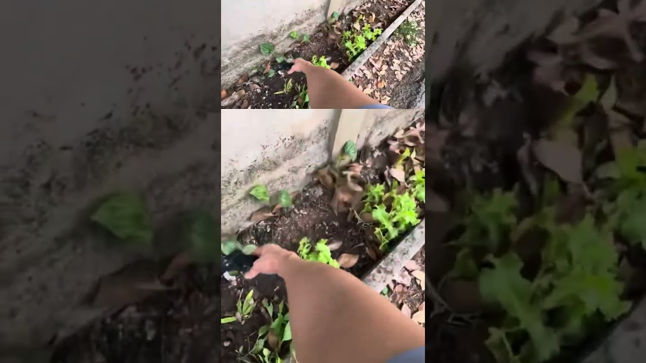 turbo Jet fan review 110000 rpm พัดลมเจ็ท พัดลมเทอร์โบเจ็ท