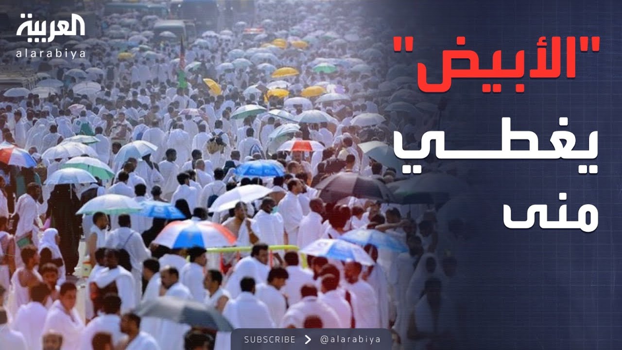 النشرة الصباحية | الأرض تكتسي بالأبيض.. الحجاج يصلون مشعر منى