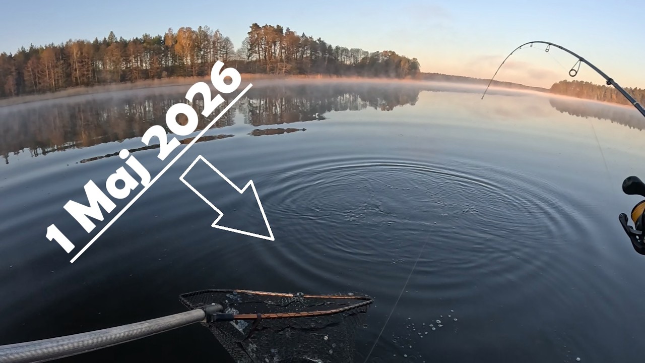Po 20 szczupaku przestałem liczyć ... Super otwarcie sezonu szczupakowego 2026 !