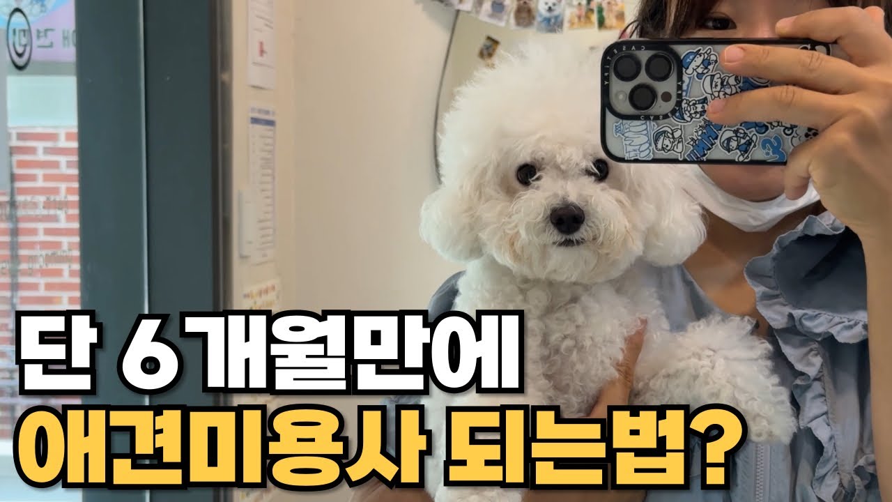 무경력으로 남들보다 빠르게 성공하는 비밀?🤫애견미용실 현장에서 바로 통하는 실전 중심 학습법📖  실행력을 3배로 만드는 루틴