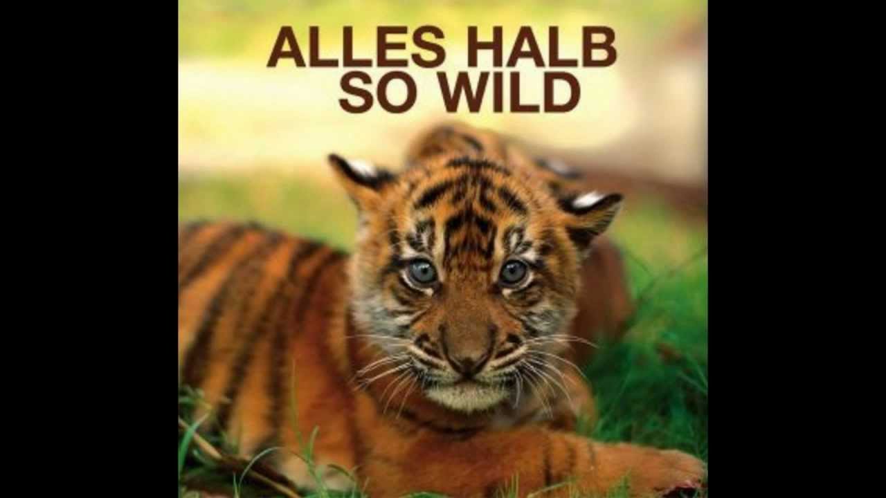 Antenne Bayern Song