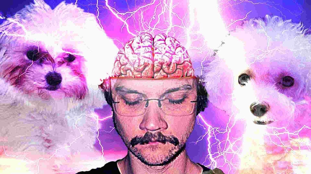 watch kt&oacute;remu możesz zaufać